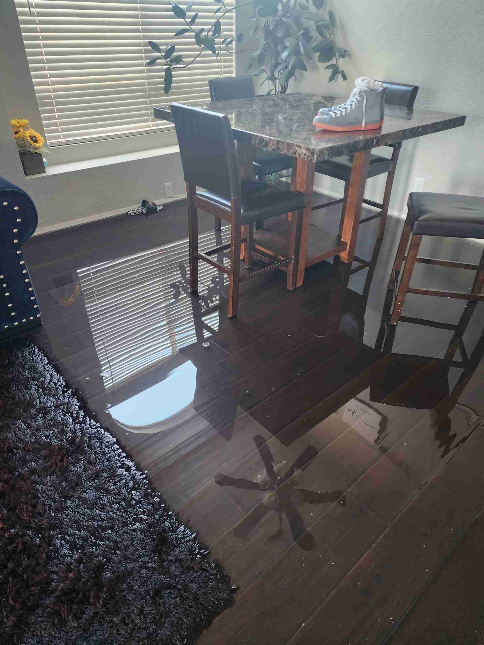 Professional restoration project by Rapid Response Flood Restoration serving Hesperia