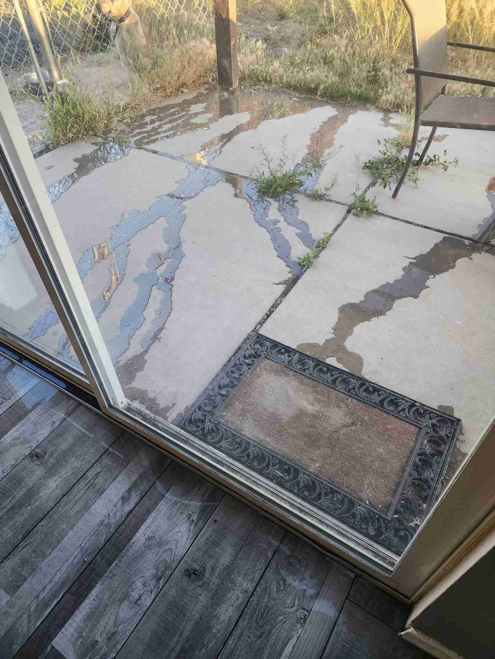 Professional water damage restoration work by Rapid Response
