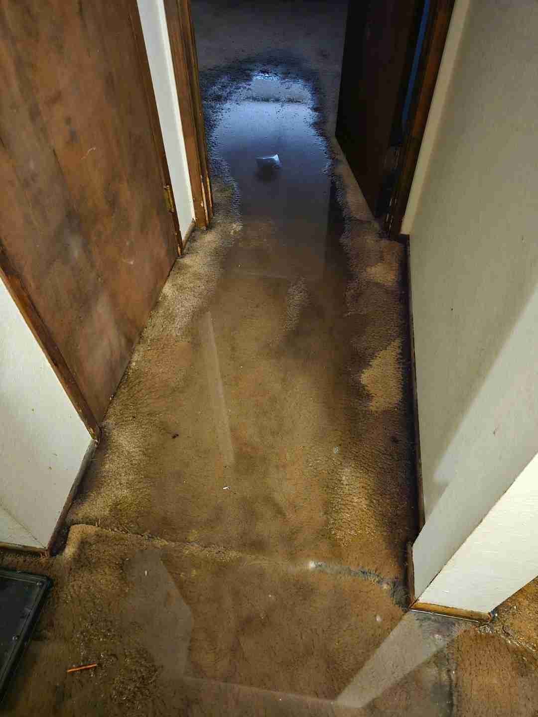 Property restoration work by Rapid Response Flood Restoration