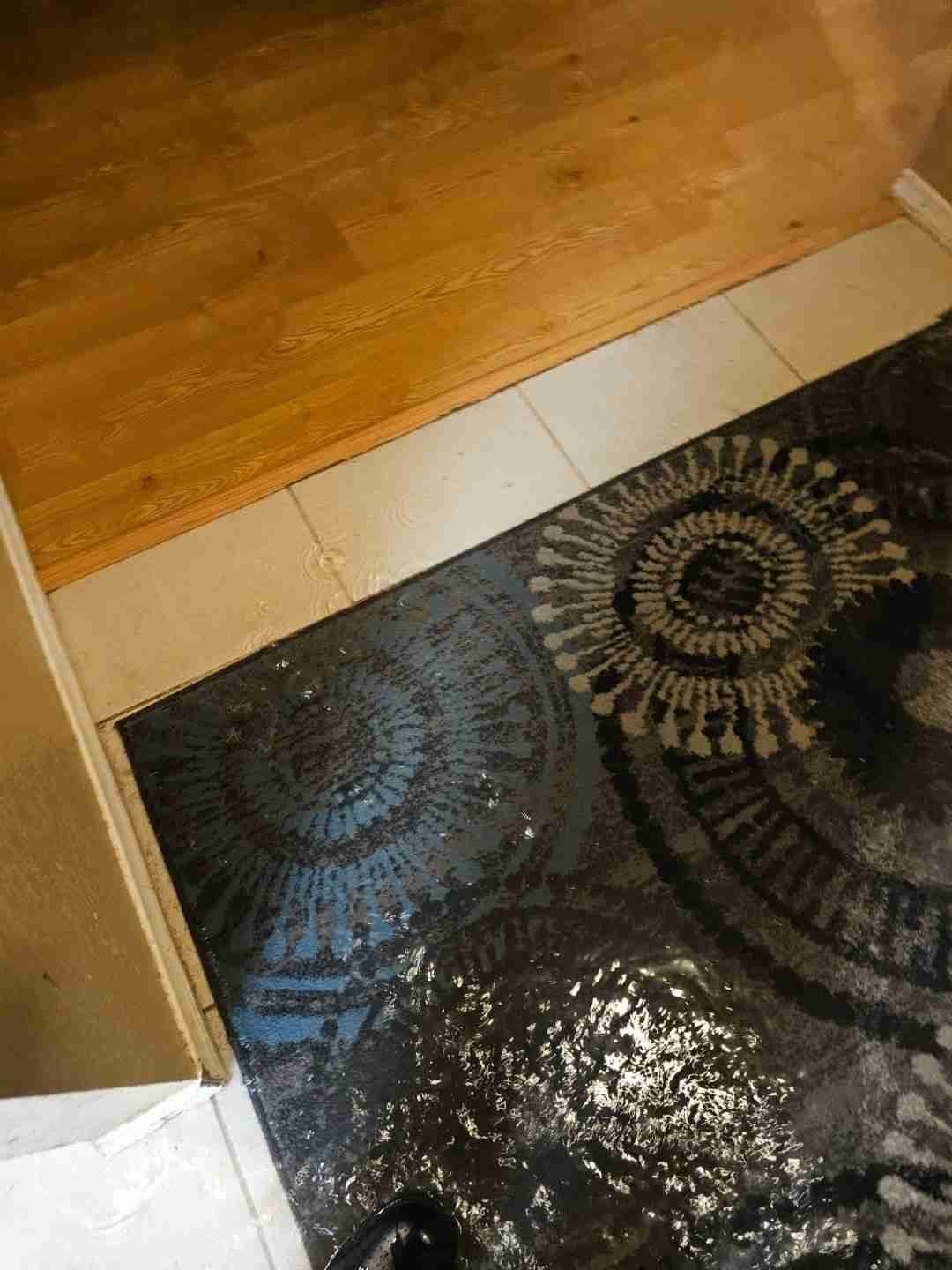 Professional mitigation and restoration project by Rapid Response