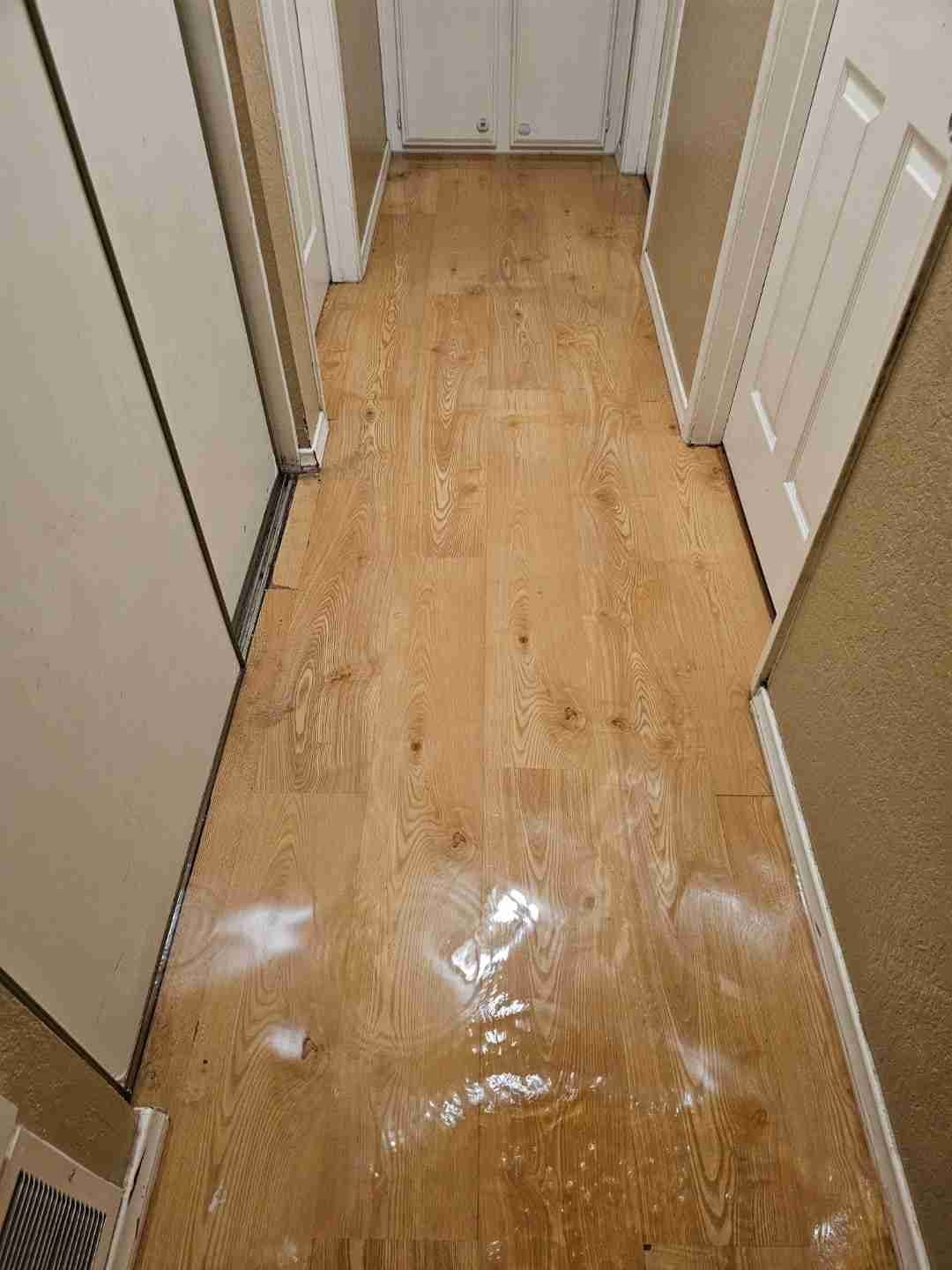 Professional property drying and restoration after water damage