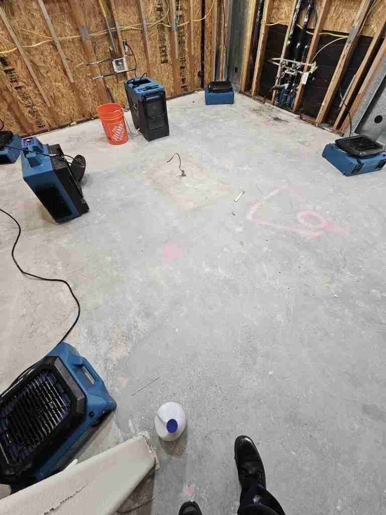 Property stabilization during professional water damage restoration