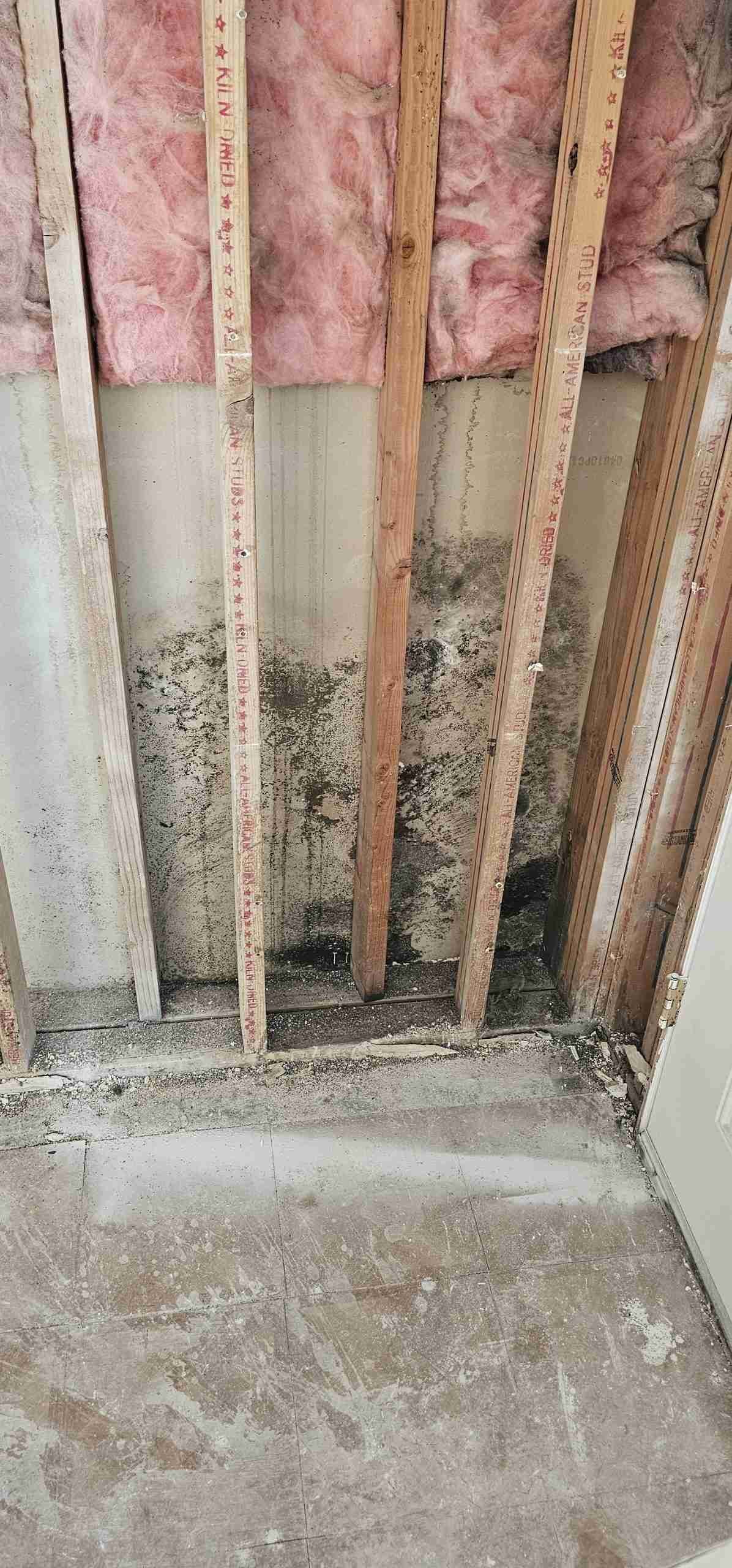 Real Rapid Response property restoration project serving Victorville, California